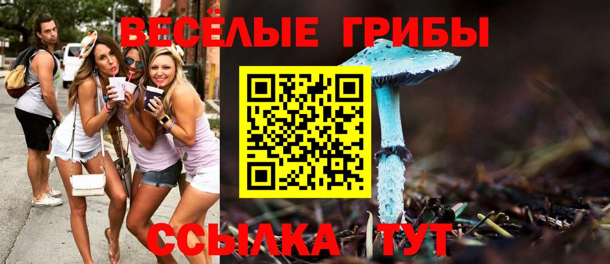 Псилоцибиновые грибы прущие грибы Бор